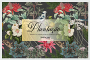Plantação Botanical Elements I PNG, a Pattern Graphic by Artifactory Studios (Thumbnail 1 of 8)