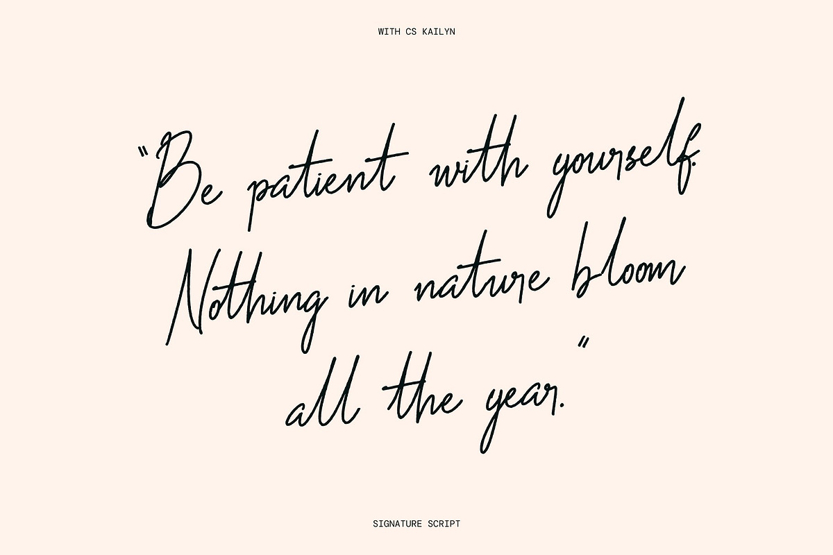 Signature Script Bundle, a Script Font by Craft Supply Co. (Photo 5 of 11)