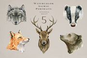 Forest Animals Watercolor Clipart, an Animal Illustration by AnitaPol (Thumbnail 6 of 19)