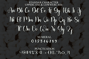 Delightful, a Handwritten Font by InermediaSTUDIO (Thumbnail 3 of 8)