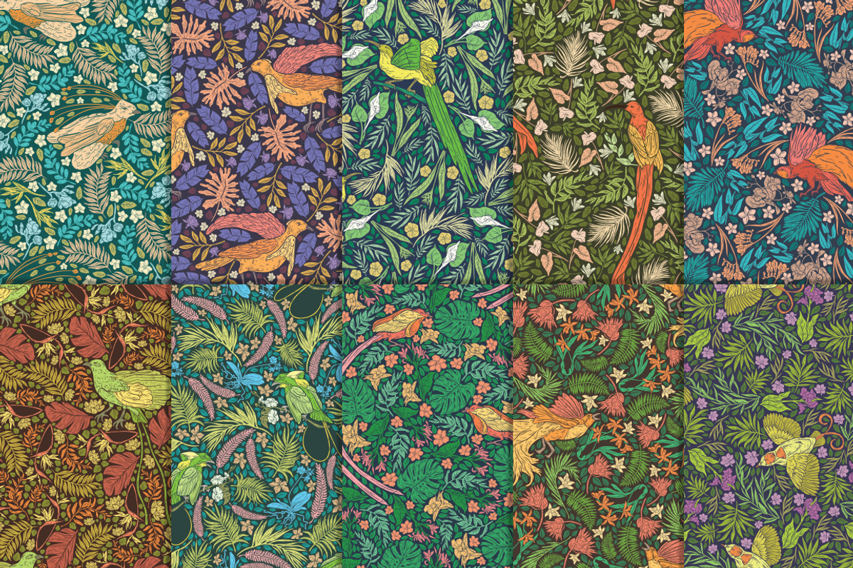 Bird-of-Paradise patterns, a Pattern Graphic by Piñata (Photo 11 of 13)