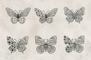 Butterfly Procreate Stamp Brushes