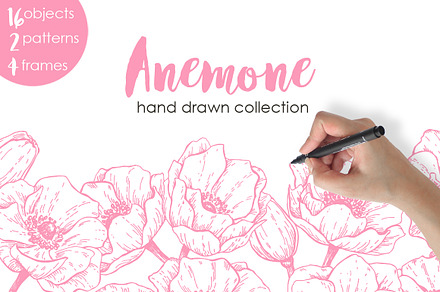 Anemone. Hand Drawn Flower Set
