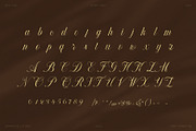 Radiust Luxury Swash Script Font, a Script Font by Graphicxell (Thumbnail 7 of 8)