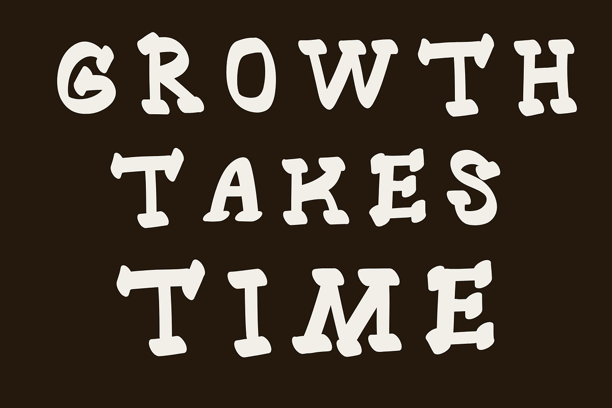 Sally, a handmade serif displayfont, a Serif Font by Eryn Rose Design (Photo 10 of 10)