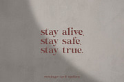 Wastinger Elegant Display, a Serif Font by Typetemp Studio (Thumbnail 12 of 16)
