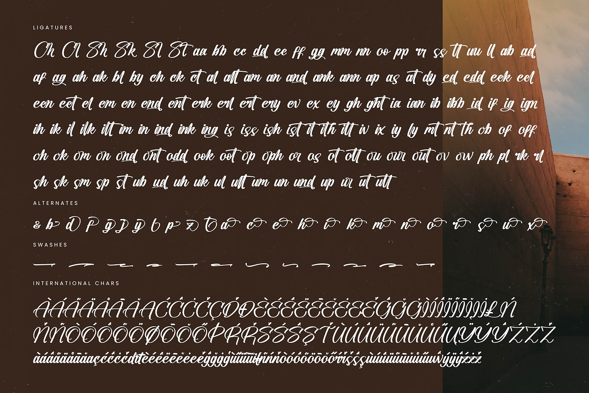Standard Vertical Modern Brush Font, a Script Font by stylishtype.co (Photo 19 of 20)