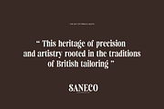 Saneco | Display Serif, a Serif Font by Jolicia Type (Thumbnail 11 of 12)
