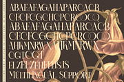 Caroowa Modern Serif Display, a Serif Font by timelesstype.co (Thumbnail 19 of 20)