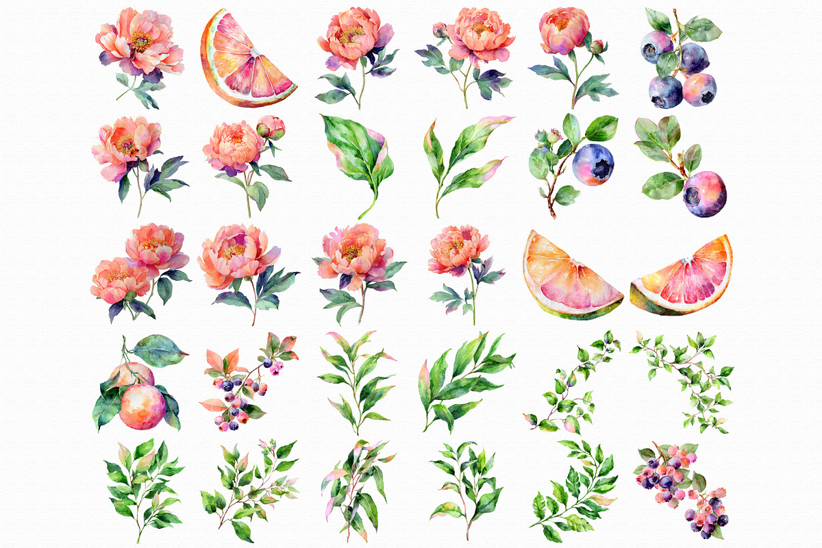 Watercolor Peonies and Citrus Clipar, an Illustration by Libby Wishes (Photo 3 of 5)