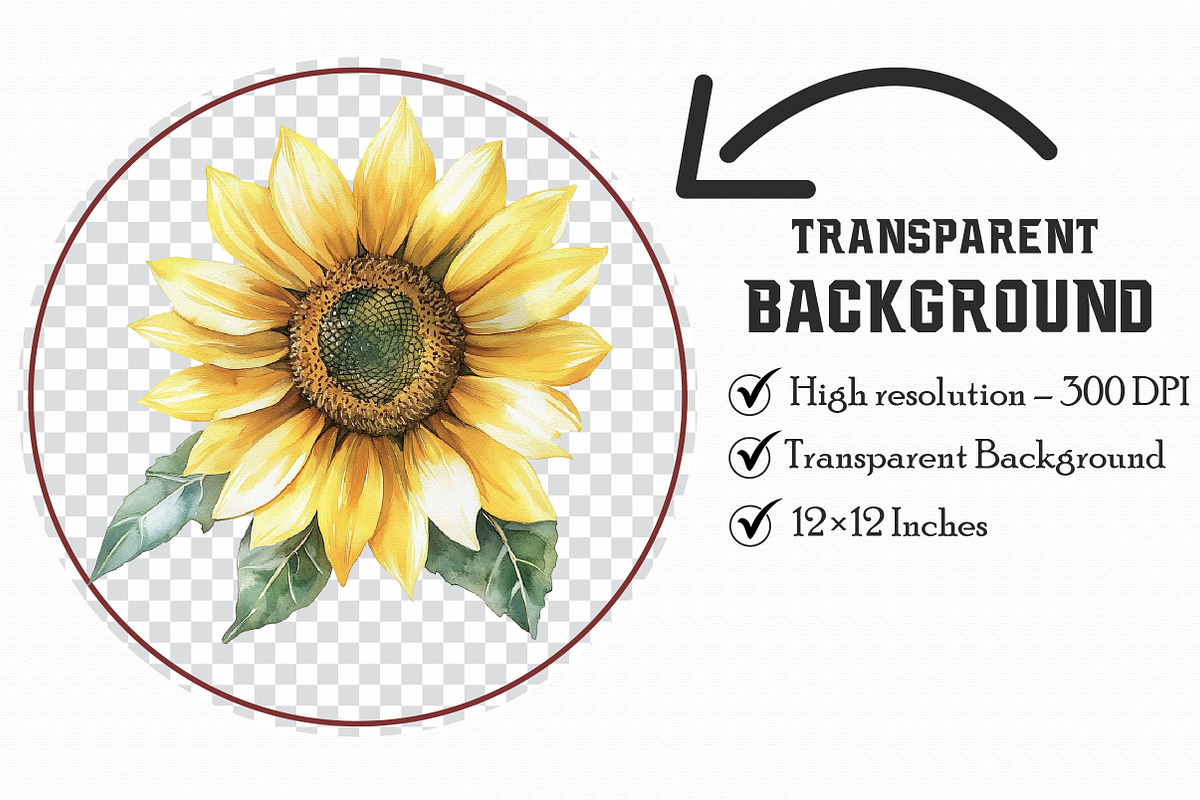 Sunflower Watercolor Clip Art, an Illustration by Libby Wishes (Photo 5 of 6)