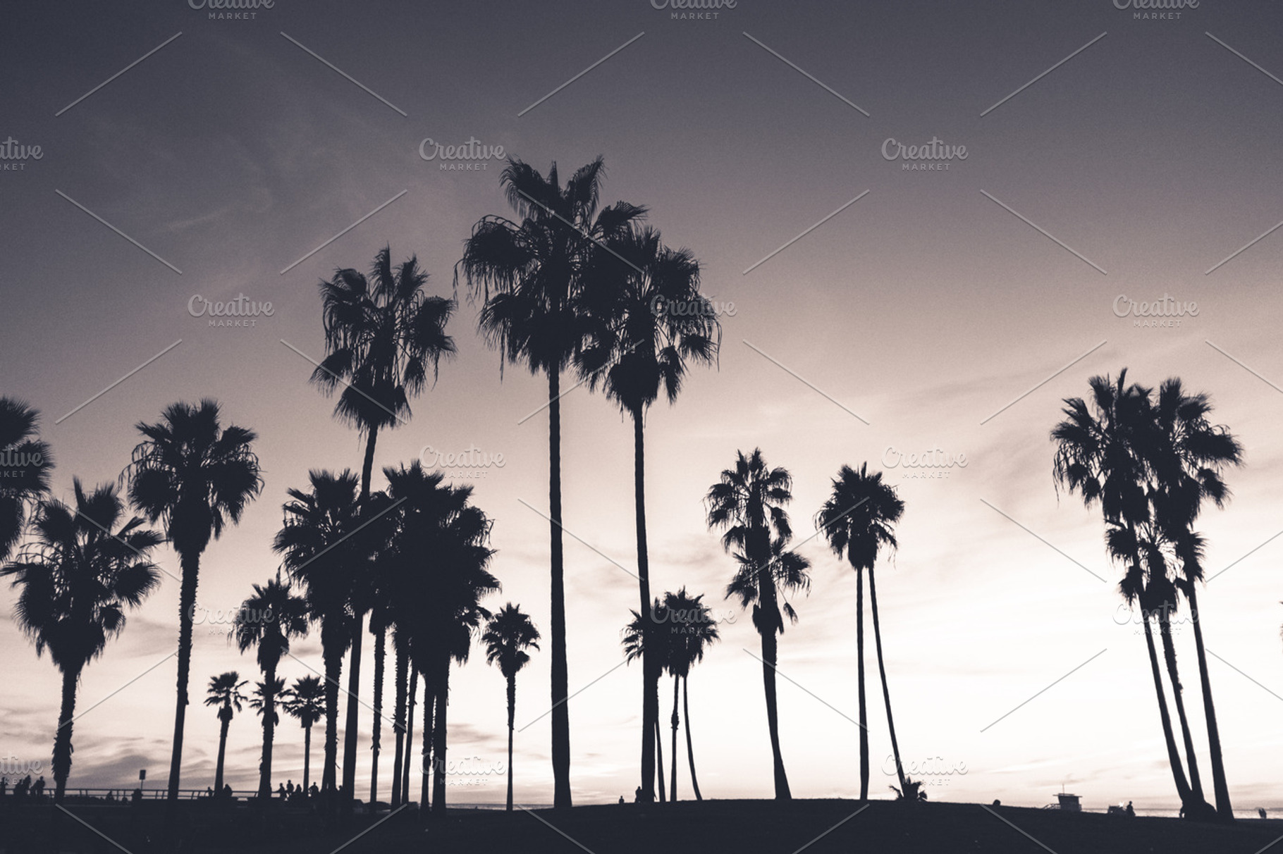 Sunset in venice beach containing venice beach, california, and sunset, a Nature Photo by FunkyMedia