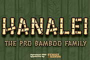Hanalei Pro Family, a Sans Serif Font by Stiggy & Sands (Thumbnail 1 of 9)