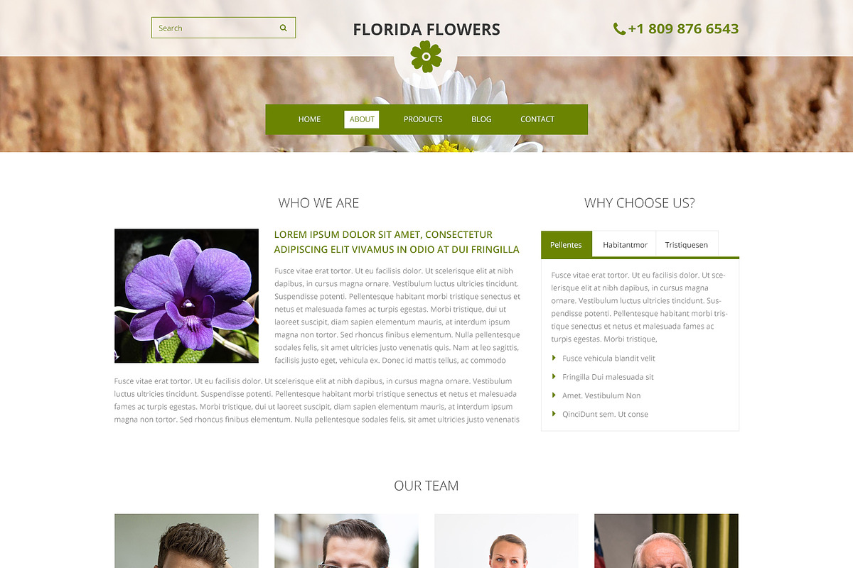 Florida Flowers PSD Website Template, a Websites & App Template by WebbyTemplates (Photo 2 of 7)
