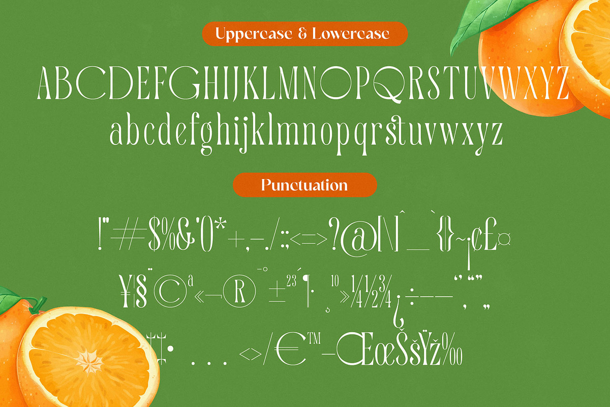 Quiselle Elegant Display Serif, a Serif Font by timelesstype.co (Photo 18 of 20)