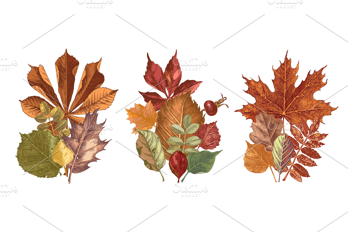 Fall in love - seasonal collection, an Object Illustration by handsketched (Photo 10 of 10)