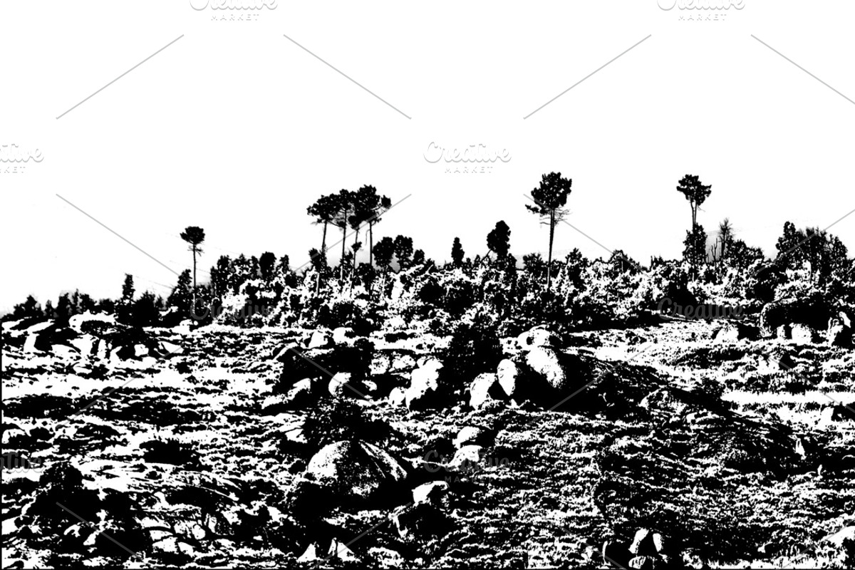 Rocky rural terrain with vegetation, a Background Graphic by DanFLCreativo