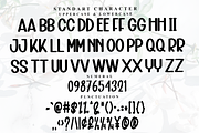 Snowden, a Serif Font by FreshTypeINK (Thumbnail 8 of 8)