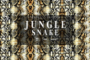 Jungle Snake - Seamless Patterns, a Pattern Graphic by texvogue (Thumbnail 1 of 10)