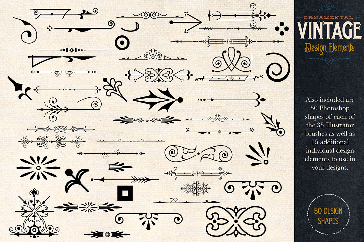 Ornamental Vintage Design Elements preview 5