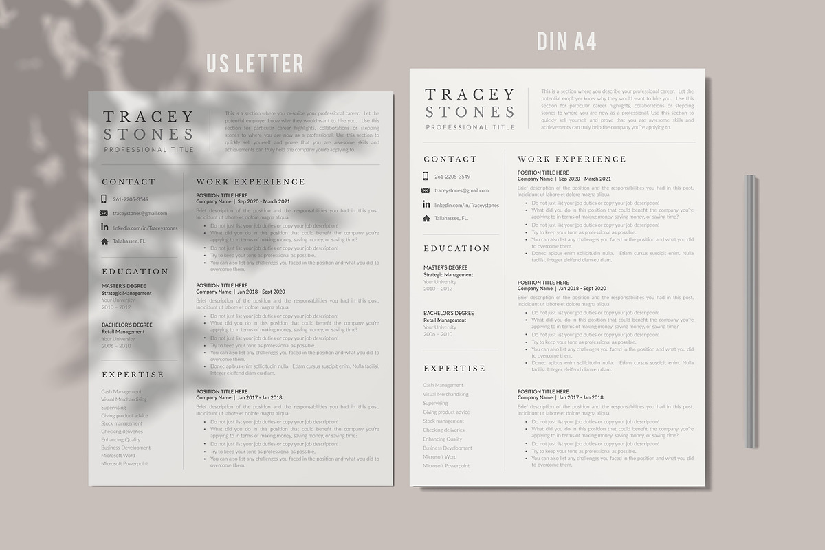 Easy Resume and Cover Letter Format preview 6