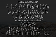 Northern, a Handwritten Font by InermediaSTUDIO (Thumbnail 7 of 8)