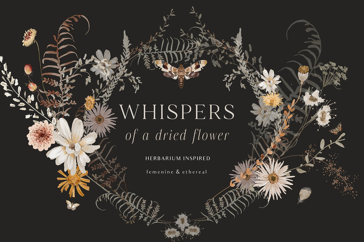 Wildflowers watercolor floral botany, a Decorative Illustration by Grace Noboa Illustrations (Photo 1 of 17)