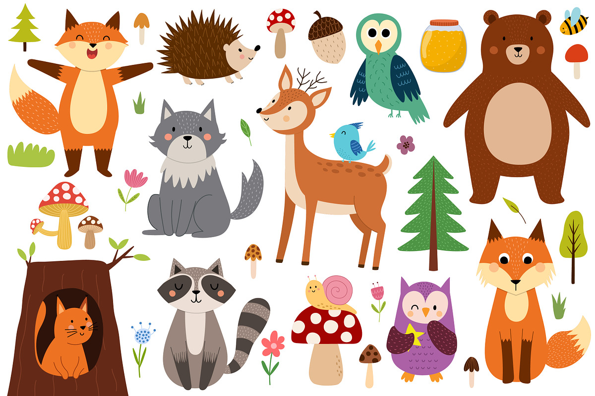 Cute Forest Animals Big Collection, an Animal Illustration by Gulnara Sabirova (Photo 5 of 16)