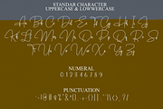 Girly Signature, a Font by FreshTypeINK (Thumbnail 3 of 8)