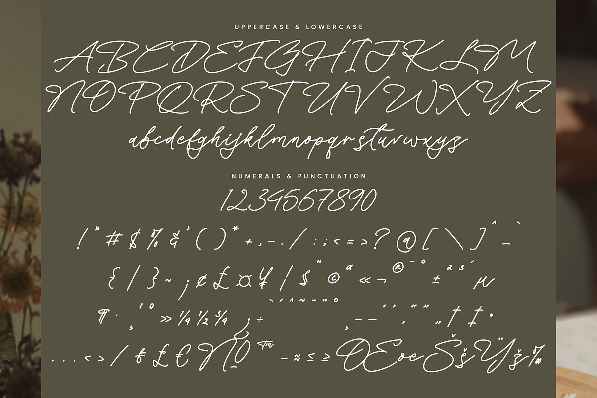 Silent Orchid, a Handwritten Font by Integritype Studio (Photo 11 of 15)