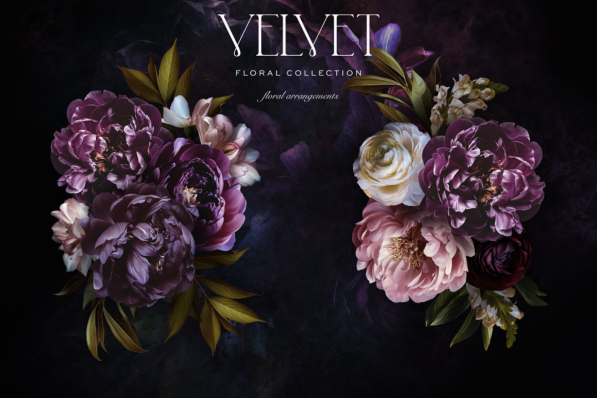 Velvet Peony Moody Floral Graphics, an Object Illustration by Eclectic Anthology (Photo 8 of 16)