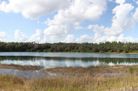 Lake in Gold Head Branch State Park