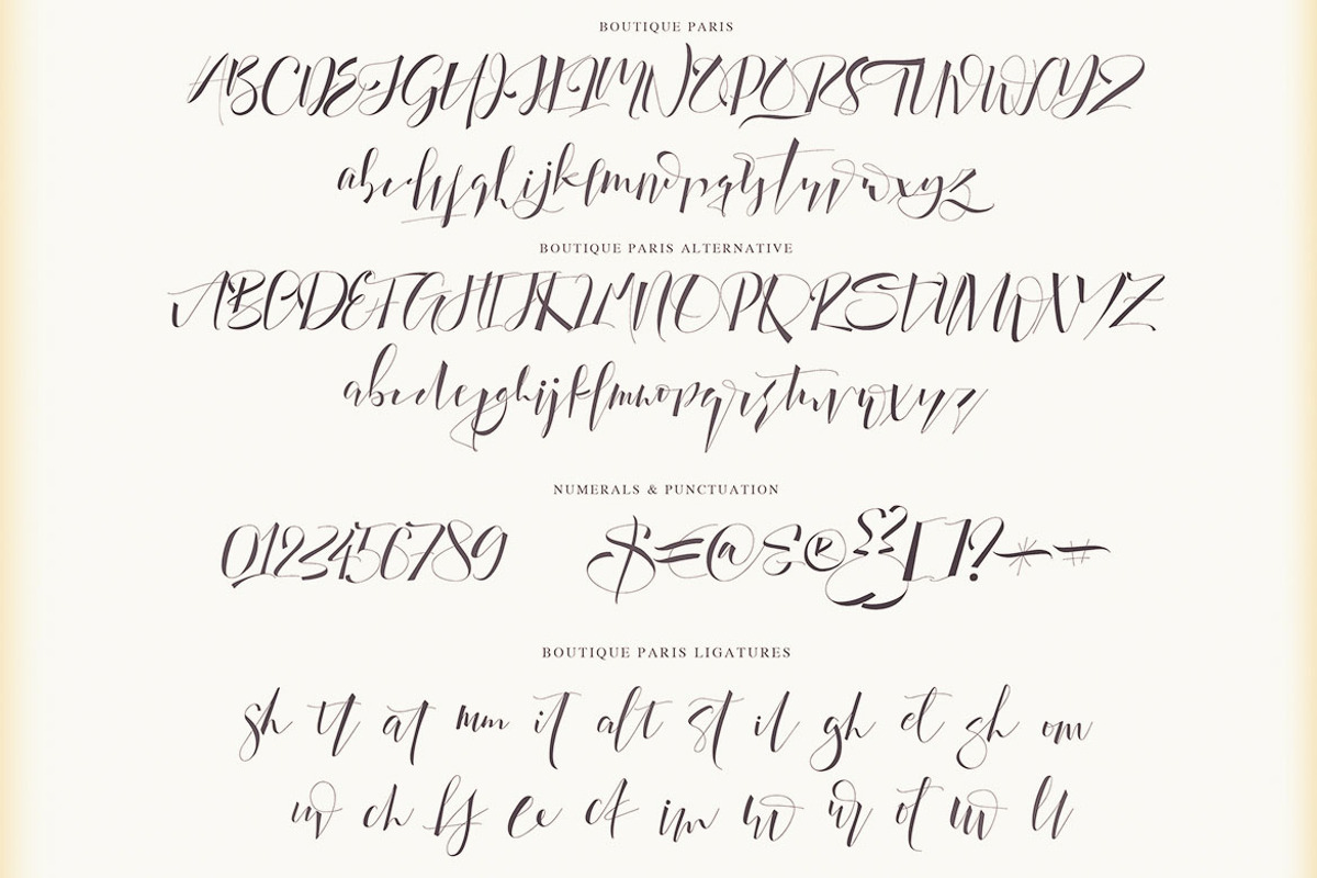 Boutique Paris - Modern Script preview 3