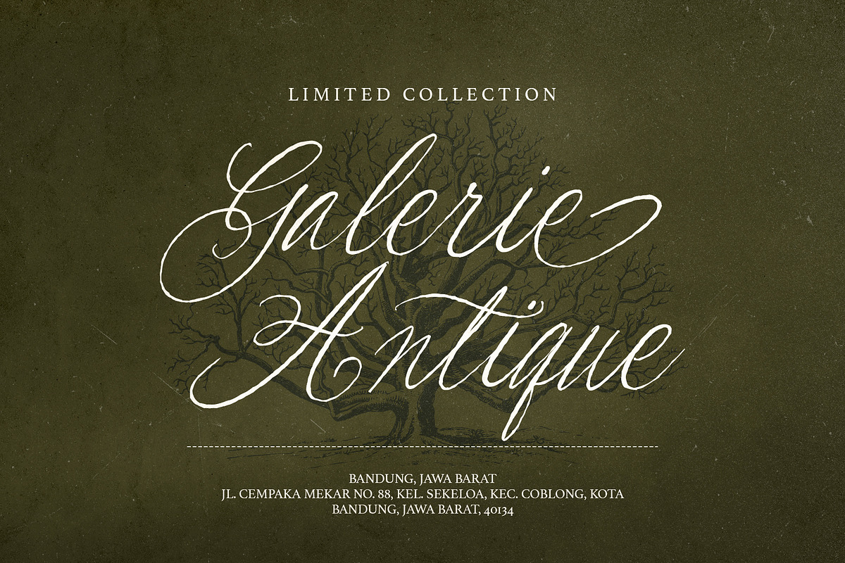 Les Bridgetise - Old Cursive Script, a Script Font by Sarid Ezra (Photo 4 of 9)