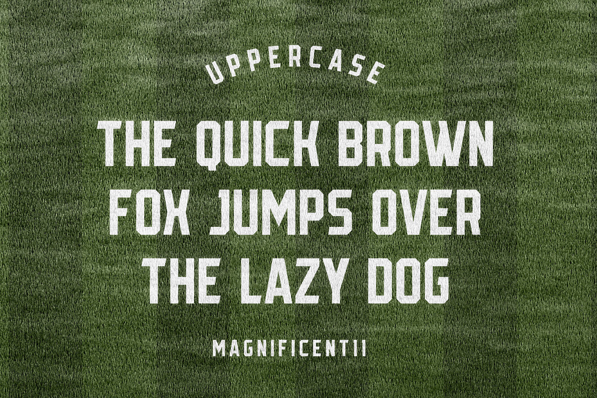 Magnificent11 Sans Serif Fonts, a Sans Serif Font by Alphabet Agency (Photo 2 of 9)