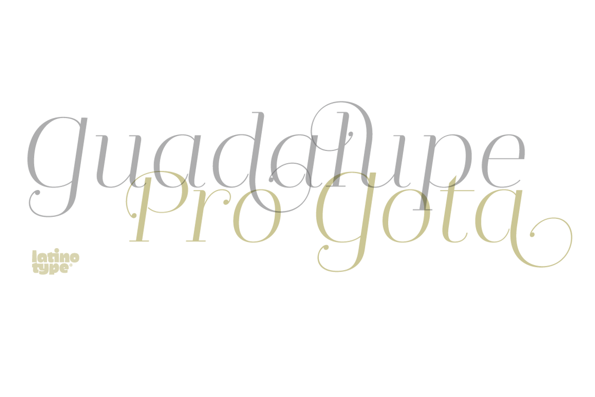 Guadalupe preview 4