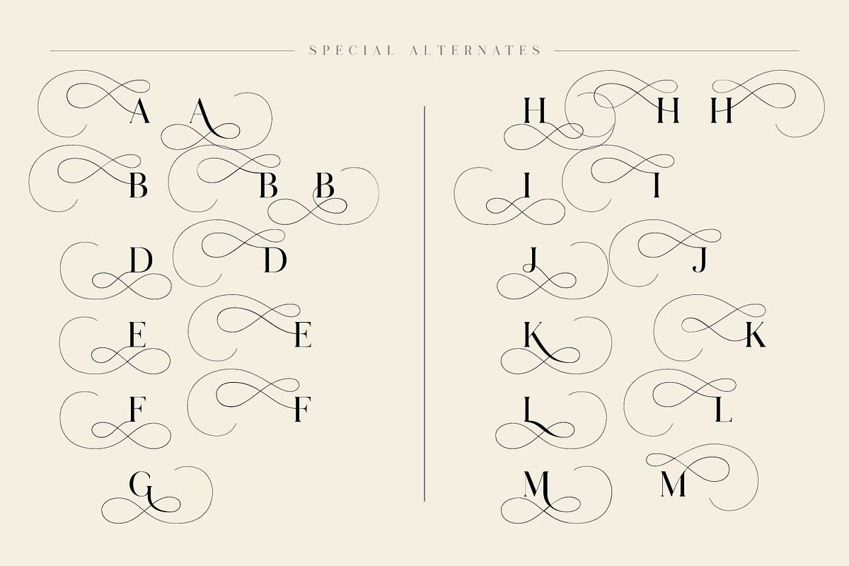 Lostgun Plus | Stylish Typeface, a Serif Font by Qaratype (Photo 18 of 20)