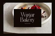 Sellang Elegant Serif Font, a Serif Font by Perfectype (Thumbnail 6 of 8)