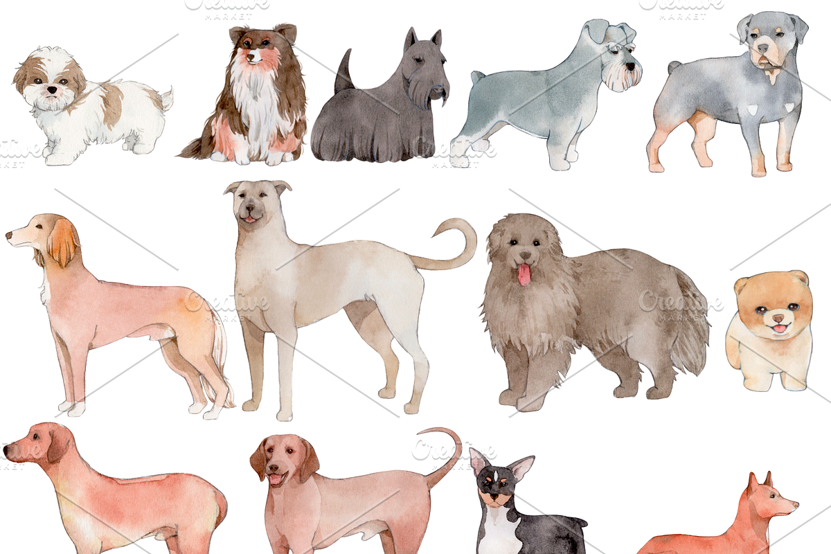 190+ Hand-drawn Watercolor Dogs, an Animal Illustration by ArtbyHien (Photo 4 of 12)