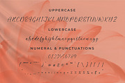 Rayetta Wegatta, a Script Font by Integritype Studio (Thumbnail 9 of 15)