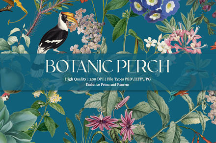 Botanic Perch Prints & Patterns, a Pattern Graphic by GND ART STUDIO