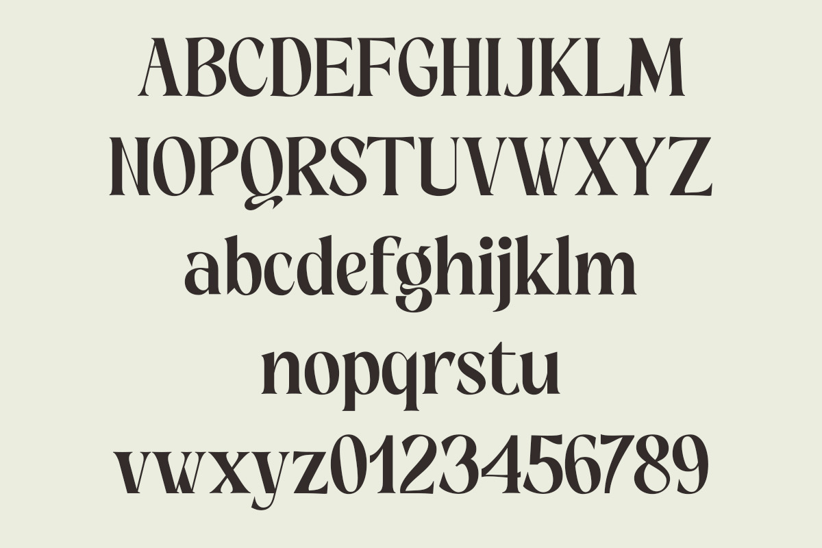 Grispily, a Serif Font by Black Studio (Photo 5 of 16)