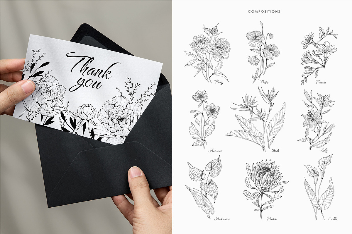 Wildflowers collection, a Decorative Illustration by Merfin (Photo 9 of 11)