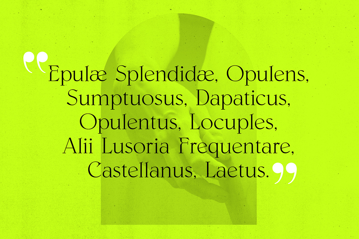 Paxxx | Lux serif, a Serif Font by Drawwwn (Photo 5 of 12)