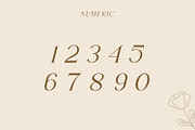 Fluxerist, a Serif Font by Rishsketch (Thumbnail 8 of 13)