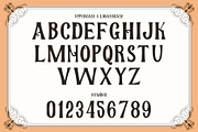Walheim - Royal Elegant Fantasy Font, a Serif Font by Pekotype (Thumbnail 3 of 14)