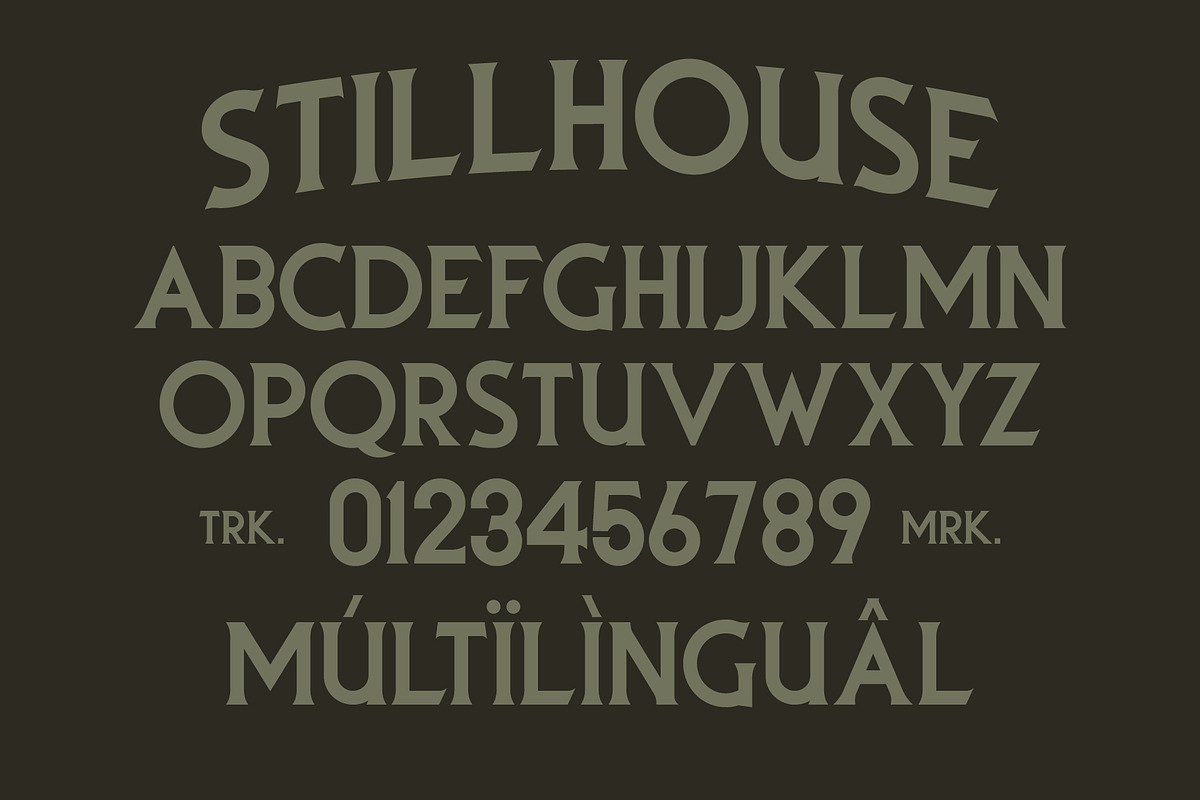 Stillhouse - Textured Vintage Font, a Serif Font by Surplus Type Co (Photo 4 of 9)