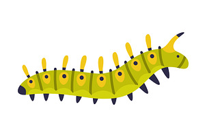 Bright Green Caterpillar As Larval