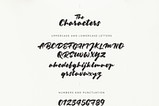 20% Off Keyline Script Font, a Script Font by kavoon (Thumbnail 7 of 8)