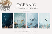 OCEAN Undersea Coral reef animals, an Animal Illustration by Grace Noboa Illustrations (Thumbnail 2 of 15)